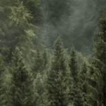 Kristianstad Airport (kid) (kristianstad Airport) Utomhus