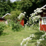 Klåveröd Logi Café Utomhus