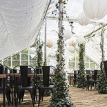 Linneatraedgaarden Utomhus