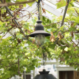 Linneatraedgaarden Utomhus