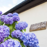 Linneatraedgaarden Dryck