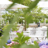 Linneatraedgaarden Utomhus