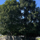 Järnaviks Camping Utomhus