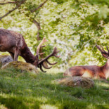 Eriksberg Nature Reserve Utomhus