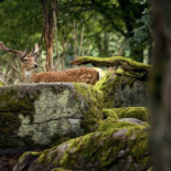 Eriksberg Nature Reserve Dryck