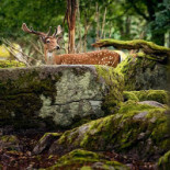 Eriksberg Nature Reserve Utomhus