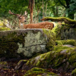 Eriksberg Nature Reserve Utomhus
