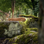 Eriksberg Nature Reserve Dryck