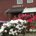 HillesgÅrden Utomhus