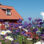 Café Utsikten Utomhus