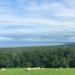 Café Utsikten Utomhus