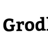 Inez Traedgaard Logotyp
