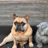 IneztrÄdgÅrd Utomhus