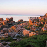 Restaurang Sand Utomhus