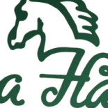 Gröna Hästen Dryck