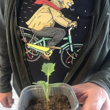 Muff Allt Mellan Frukost Och Fika Dryck