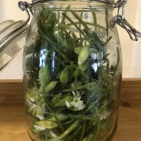 Muff Allt Mellan Frukost Och Fika Dryck