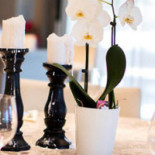 Punch Restaurang, Och Äventyrsgolf Dryck