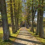 Grimsnaes Herrgaard Utomhus