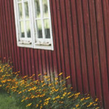 Östras BrÖd Utomhus