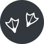 Skanörs Gästgifvaregård Logotyp