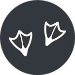 Hotell Gasslingen Logotyp