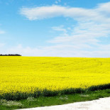 Skurups Folkhoegskola Utomhus