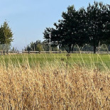 Clp Food Event Utomhus