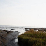 Daniel Berlin Krog Utomhus