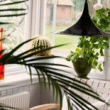 Karnelund Krog Rum Dryck