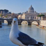 Madame Marzipan Utomhus