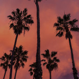 Scania Mat Tequila Utomhus