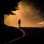 Café Trädgårn Utomhus