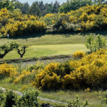 Oesterlens Golf Ab Utomhus