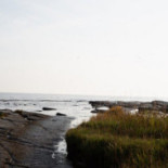 Daniel Berlin Krog I Skåne Tranås Utomhus