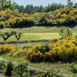 Restaurang Aroma Utomhus