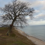 Hanöbris Vandrarhem Och Hotell Utomhus