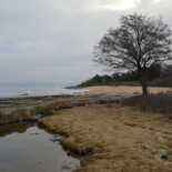 Hanöbris Vandrarhem Och Hotell Utomhus
