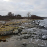 Hanöbris Vandrarhem Och Hotell Utomhus