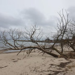 Hanöbris Vandrarhem Och Hotell Utomhus