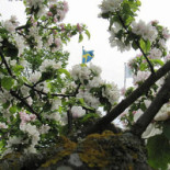 Örestads Golfklubb Utomhus