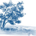 Vitemölla Badhotell Utomhus