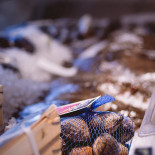 Limhamns Fiskrökeri Dryck