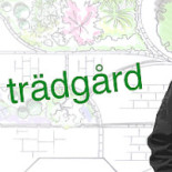 Dofternas Trädgård Logotyp