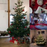 Allé På Österlen Utomhus