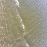 Café Lena Linderholm Dryck