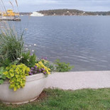 Roddarhuset Art Gallery Cafe Utomhus