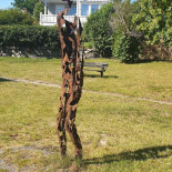 Roddarhuset Art Gallery Cafe Utomhus