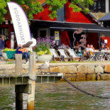 Roddarhuset Art Gallery Cafe Utomhus