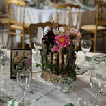 Pasha Taste Of Libanon Dryck